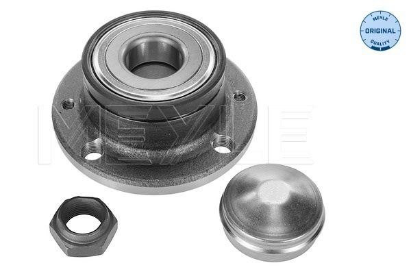 Butuc roata MEYLE montare puntea spate 2147500004 pentru masina FIAT STILO (192_) 2005 2006