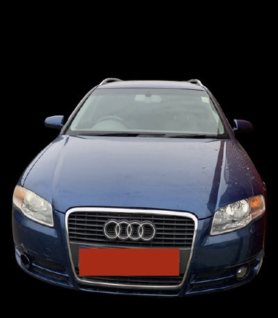 Butuc roata spate Audi A4 B7 [2004 - 2008] Avant w