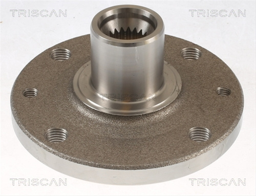 Butuc Roata Triscan Renault 8535 25002