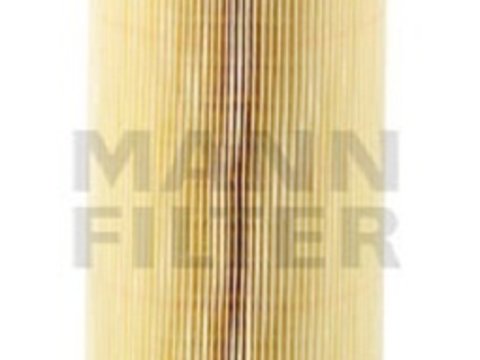C12107/1 filtru aer mann