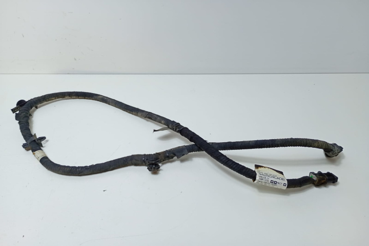 Cablaj 442504CA0B Nissan X-Trail T32 [2013 - 2020]