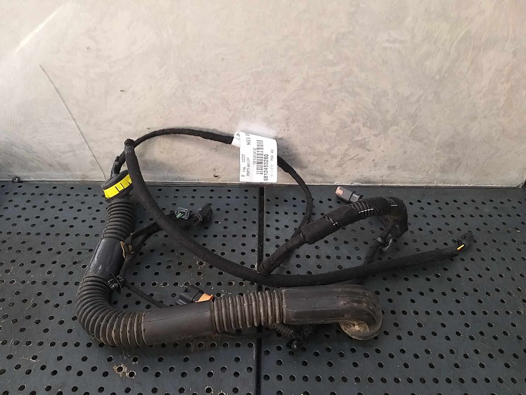 Cablaj instalatie electrica usa stanga spate opel vivaro c 9812453280