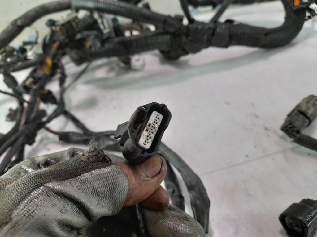 Cablaj motor 2.5 dci YD25DDti Nissan Pat