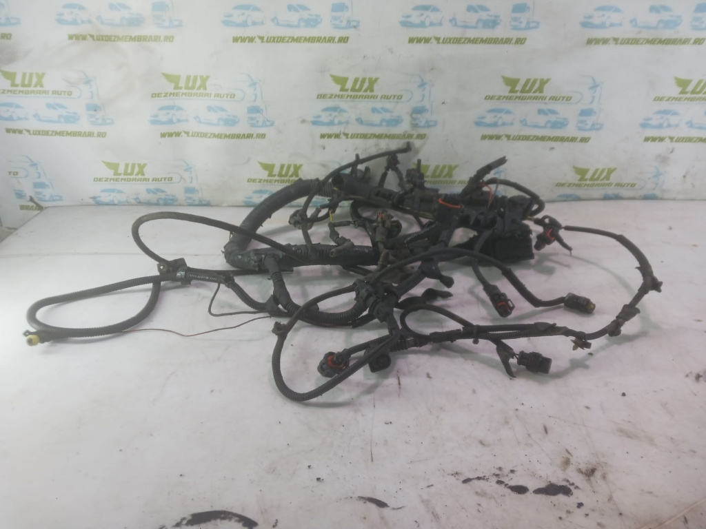 Cablaj motor complet 2.3 d F1AE0481D Fiat Ducato 3 Typ250 [2006 - 2011] 2.3 d F1AE0481D