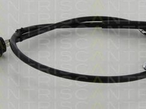 Cablu acceleratie FIAT DUCATO caroserie 230L TRISCAN 814010310