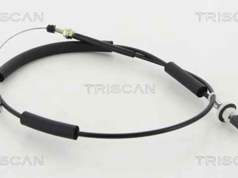 Cablu acceleratie TRISCAN 8140 21301