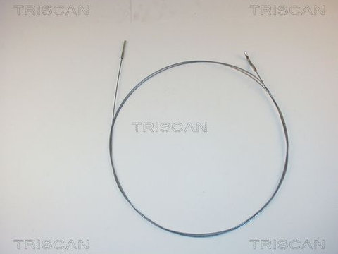 Cablu acceleratie TRISCAN 8140 29313