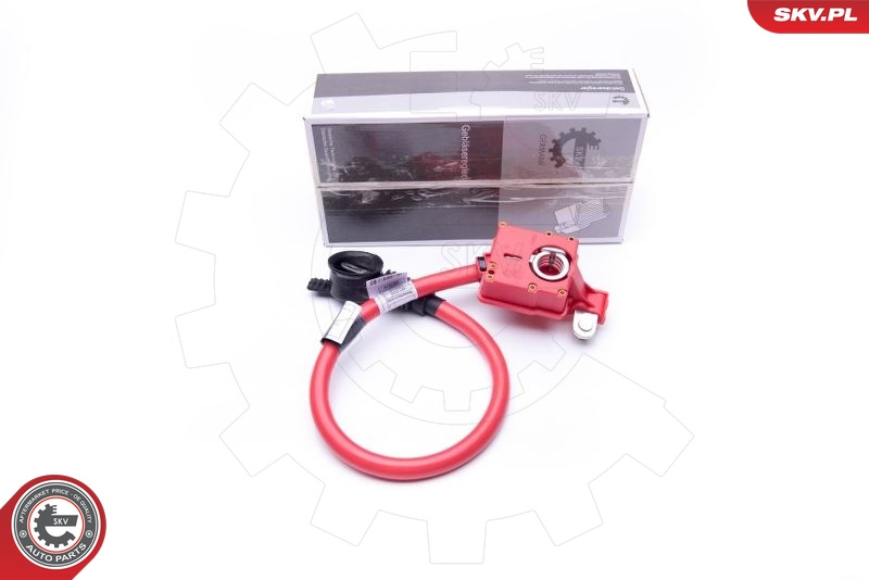 Cablu + baterie pentru BMW 5 (F10, F11, F18) 6 (F12) 7 (F01) X5 (E70) X6 (E71, E72) 61139203570-04
