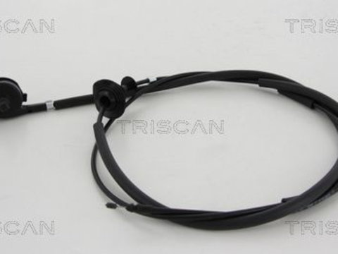Cablu, capota motor TRISCAN 8140 25604