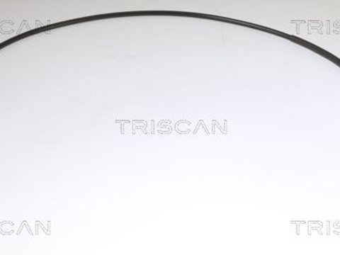 Cablu, frana de parcare TRISCAN 8140 251254