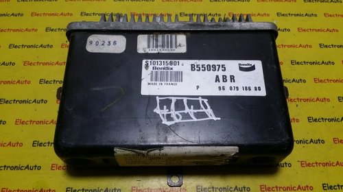Calculator ABS ESP Peugeot 605 S10131500