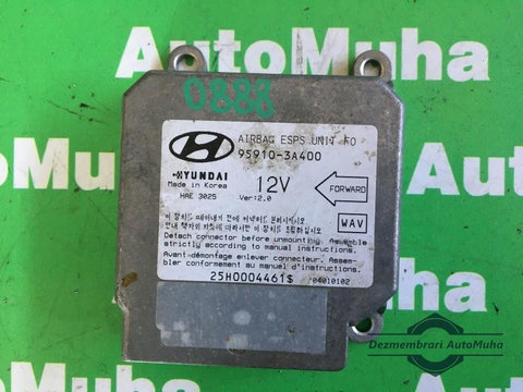 Calculator airbag Hyundai Trajet (2000-2008) 959103a400