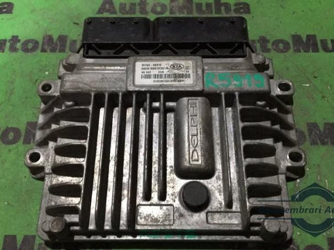 Calculator ecu Kia Carens 3 (2006->) 391044x910