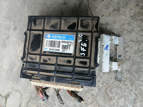 Calculator ecu motor Hyundai Santa Fe 2000-2006 2.0 diesel