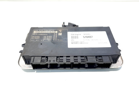 Calculator lumini, cod 9236460, Bmw 5 Touring (F11) (idi:518487)