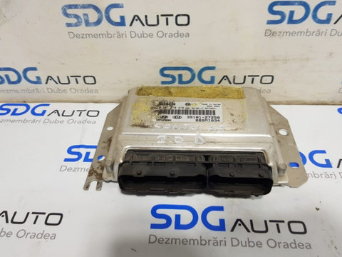 Calculator motor 0281010315 Hyundai Santa Fe 2.0 Euro 3