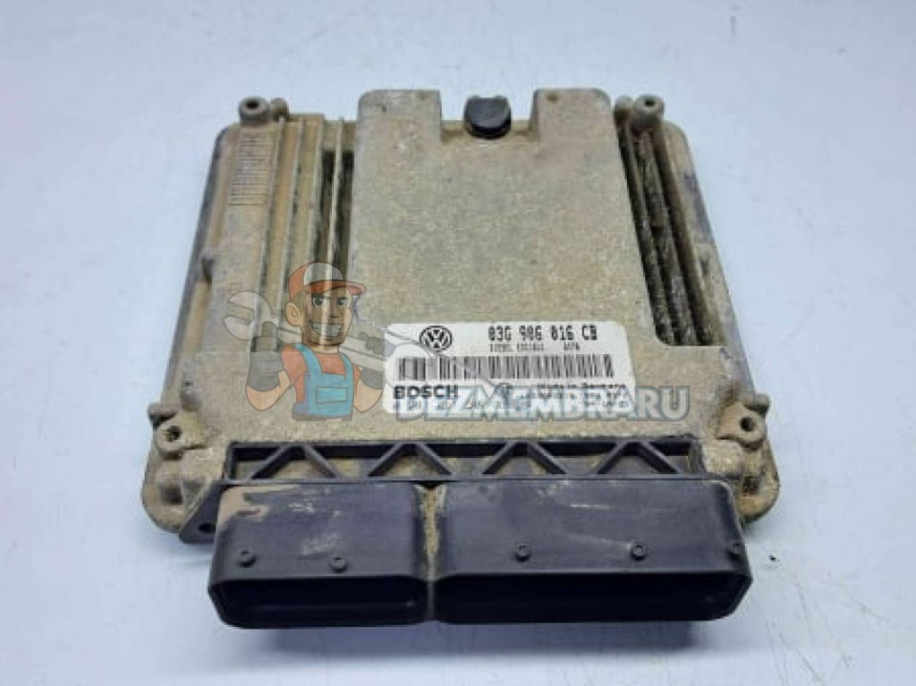 Calculator motor, 03G906016CB, Seat Leon (1P1) 1.9 tdi, BKC