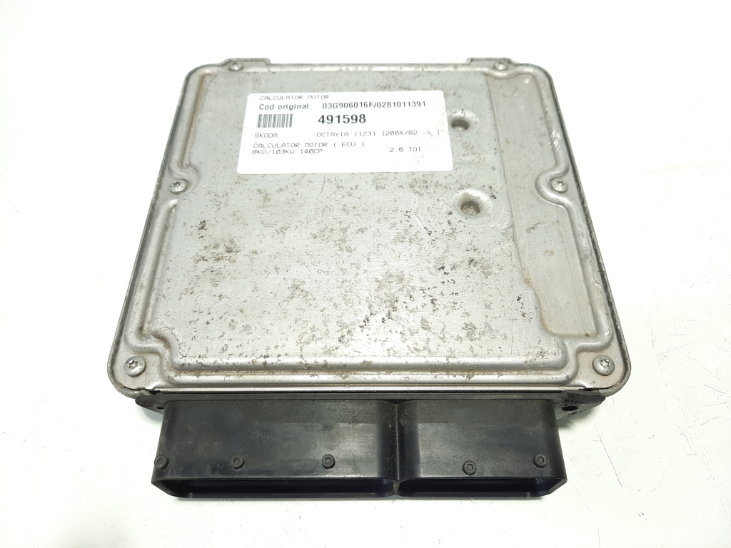Calculator motor, cod 03G906016F, 0281011391, Skoda Octavia 2 Combi (1Z5), 2.0 TDI, BKD (idi:491598)