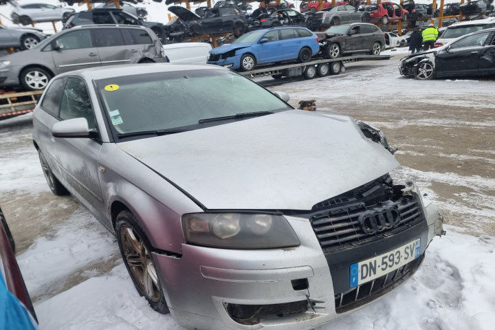Calculator motor ECU Audi A3 8P 2004 hatchback 1.9 diesel