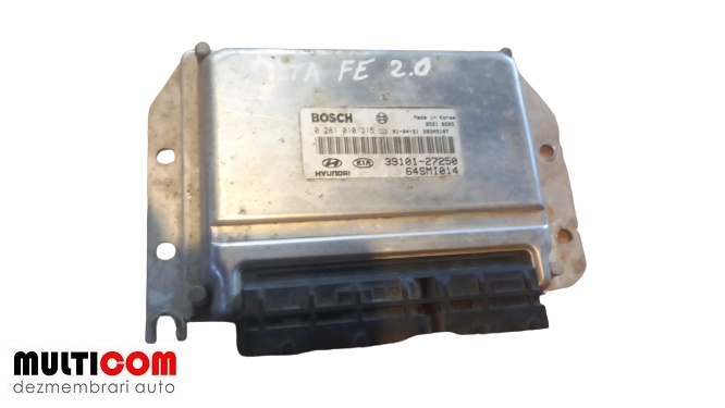 Calculator motor Hyundai Santa FE 2.0 d COD 0281010315