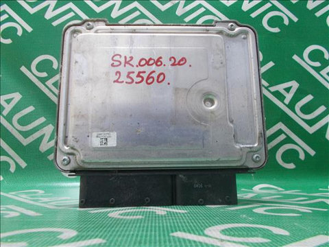Calculator Motor SKODA OCTAVIA (1Z3) 1.9 TDI BXE