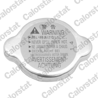 CALORSTAT by Vernet buson,radiator RC0196 se potriveste la PEUGEOT 4007 (VU_, VV_) 2007 2008 2009 2010 2011 2012 2013