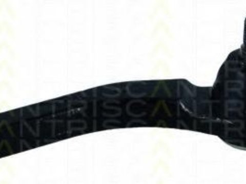 Cap de bara SSANGYONG REXTON (GAB_), SSANGYONG KYRON, SSANGYONG ACTYON I - TRISCAN 8500 44101