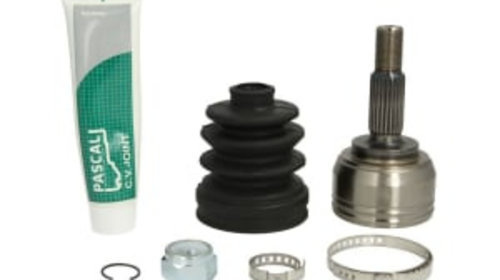 Cap planetara exterior dreapta/stanga (23z/28z/49mm) RENAULT CLIO III, MODUS, TWINGO II 1.2/1.2ALK/1.2LPG 12.04-