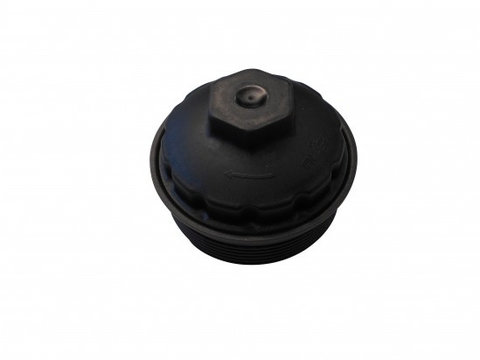 Capac, carcasa filtru ulei AUDI A6 (4F2, C6) (2004 - 2011) AIC 55600 piesa NOUA