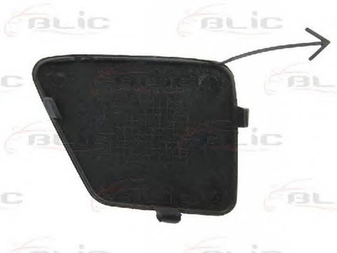 Capac carlig remorcare FORD C-MAX DM2 BLIC 5513002534920P PieseDeTop