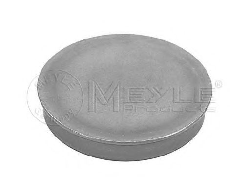 Capac de protectie,butuc roata AUDI TT (8J3) (2006 - 2014) MEYLE 100 752 0006