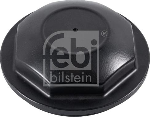 Capac de protectie. butuc roata Capacul butucului rotii RVI C D K KERAX MAGNUM PREMIUM 2 T VOLVO 7700 7900 8300 8 RENAULT TRUCKS K, 01.2013 - Febi Bilstein 170212