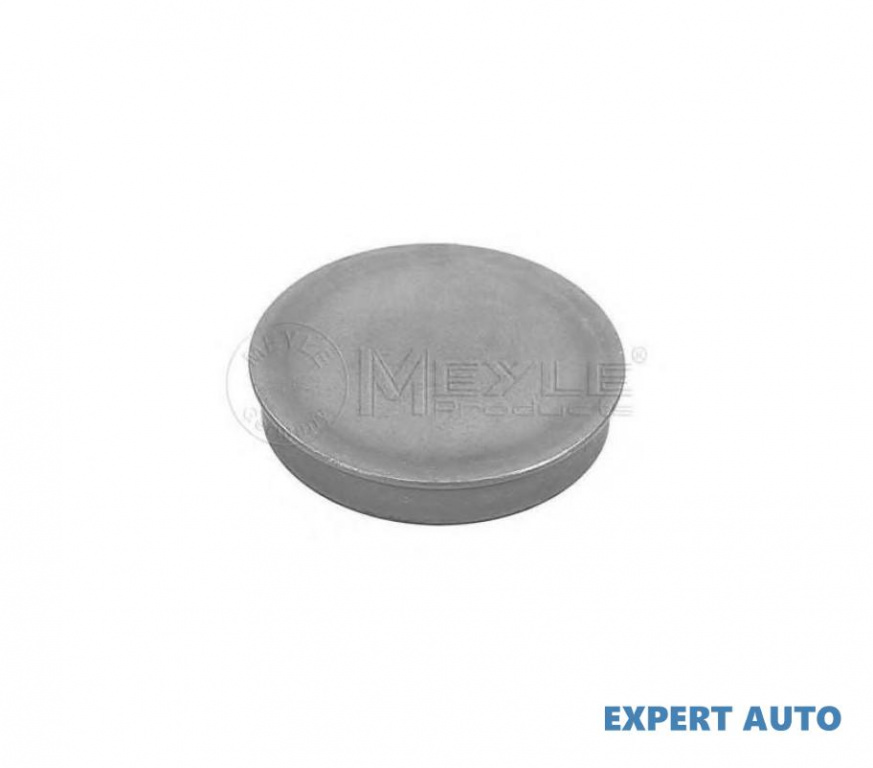 Capac de protectie,butuc roata Volkswagen VW NEW BEETLE (9C1, 1C1) 1998-2010 1007520006