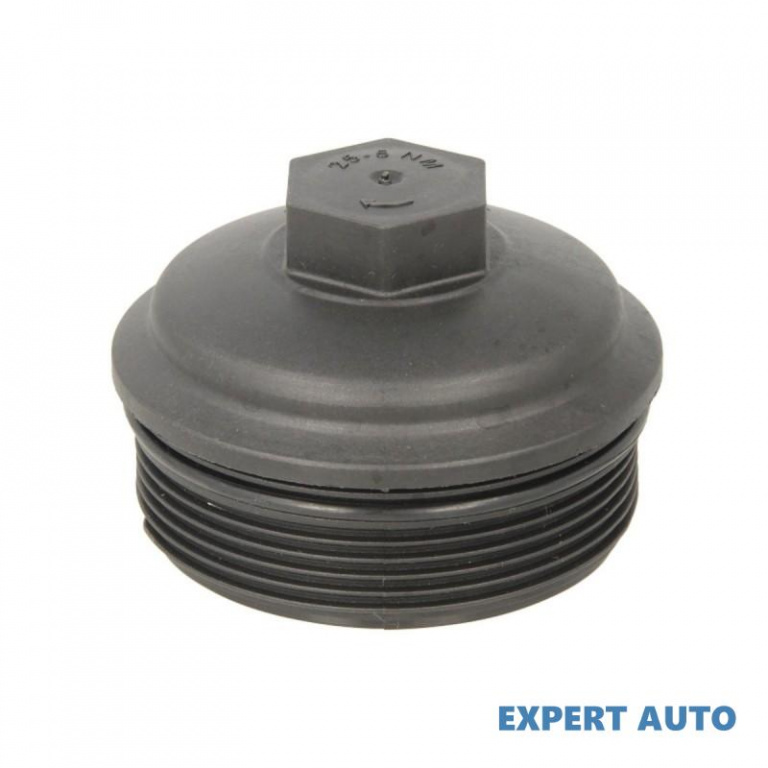 Capac filtru ulei Volkswagen VW TRANSPORTER / CARAVELLE Mk V bus (7HB, 7HJ, 7EB, 7EJ, 7EF) 2003-2016 #2 03841