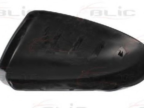 Capac oglinda exterioara NISSAN QASHQAI / QASHQAI +2 (J10, JJ10) (2007 - 2016) BLIC 6103-16-040352P