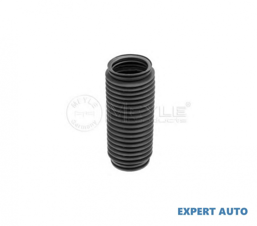Capac protectie/burduf, amortizor BMW X5 (E53) 200