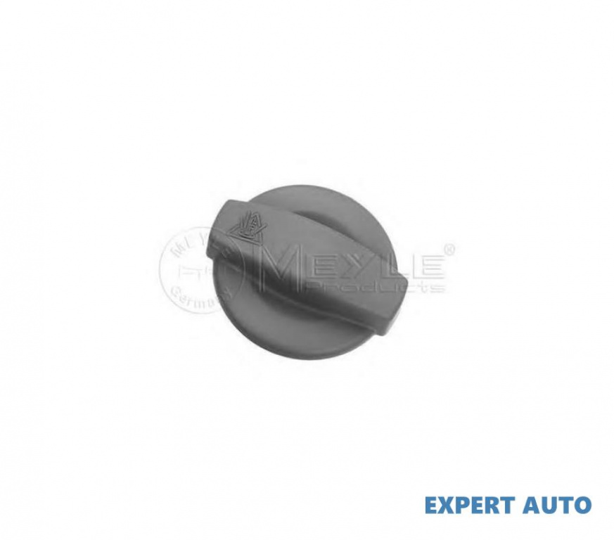 Capac radiator Audi AUDI A6 Avant (4F5, C6) 2005-2011 #2 0740041