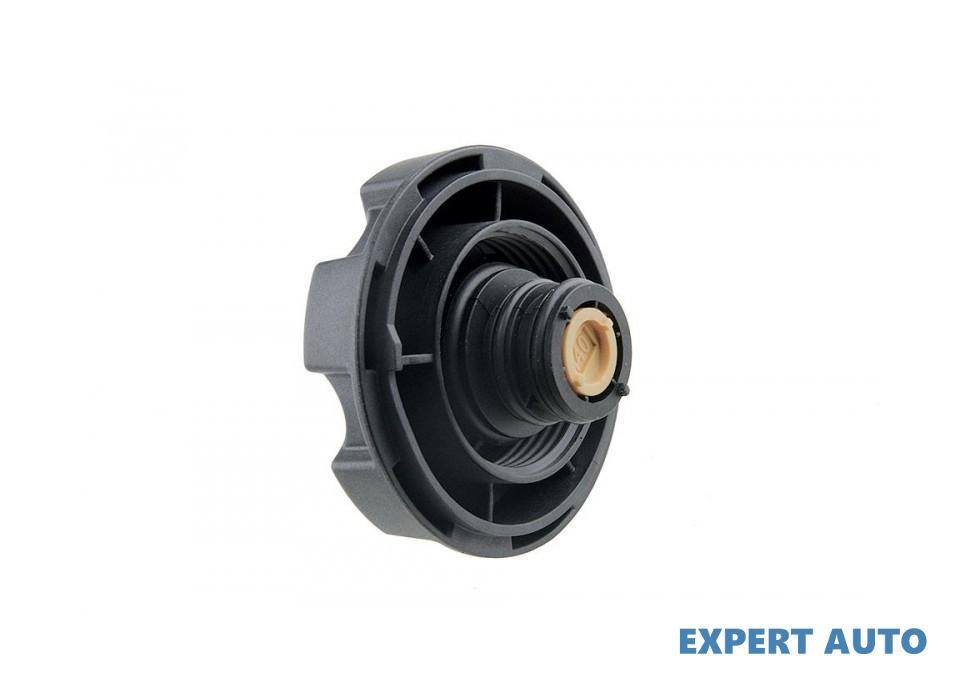 Capac radiator BMW X4 (04.2014-> )[F26] 