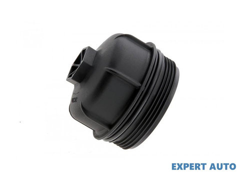 Capac suport filtru ulei Fiat 500X (334) 2014-> #1 55231346
