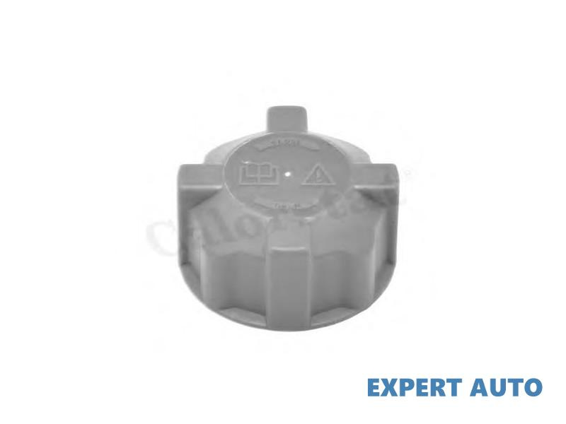 Capac vas expansiune Alfa Romeo 147 (2001-2010) [937] #8 108006211