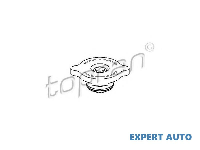 Capac vas expansiune Audi AUDI 80 (80, 82, B1) 1972-1978 #2 0540028