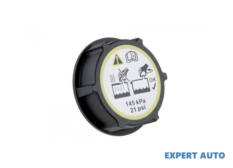 Capac vas expansiune Ford B-Max (2012->) #1 1224233