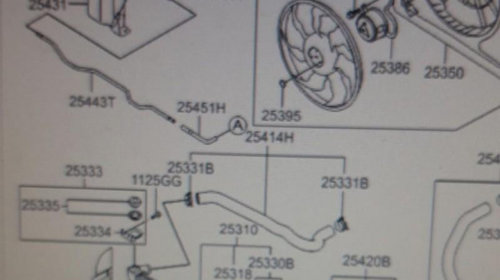 Capac vas expansiune Hyundai ELANTRA (20