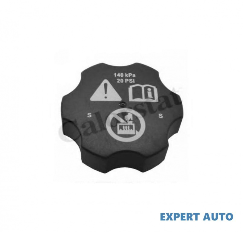 Capac vas expansiune Opel Ampera (2011->)[R12] #2 11758