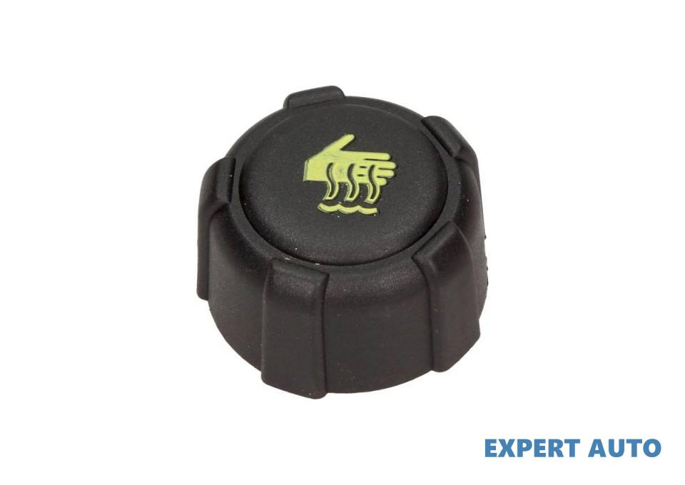 Capac vas expansiune Renault CLIO IV 2012-> #2 1793184A00