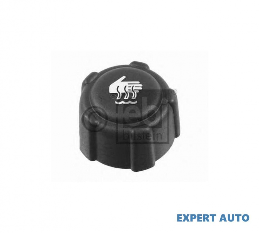 Capac vas expansiune Renault LAGUNA 2008-> #2 01674