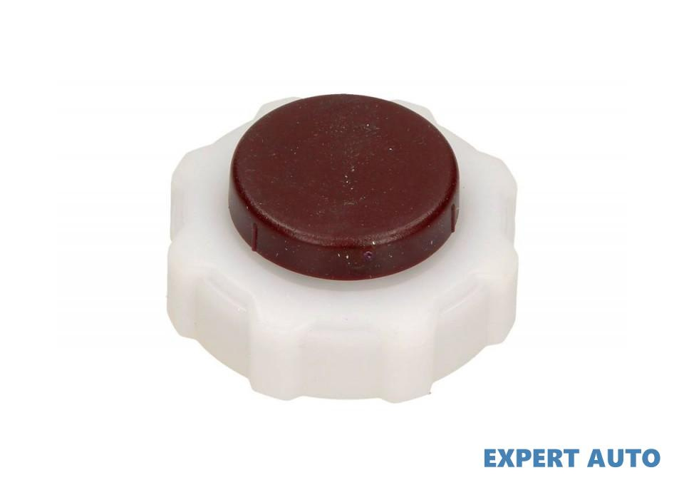 Capac vas expansiune Renault LAGUNA 2008-> #2 03514