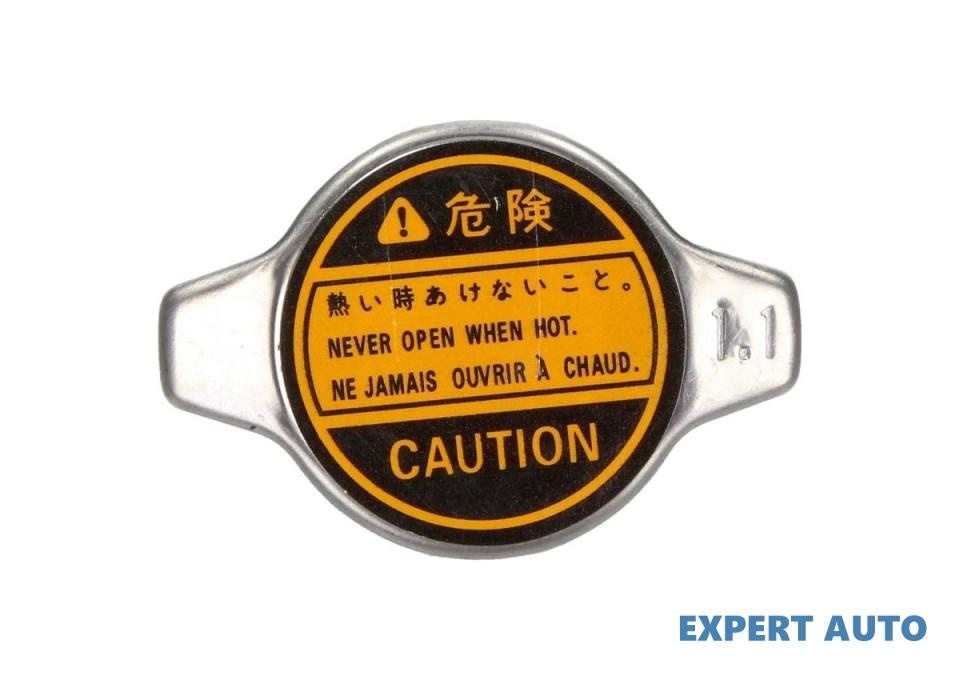 Capac vas expansiune Toyota URBAN CRUISER (NSP1_, NLP1_, ZSP1_, NCP11_) 2007-2016 #2 1306F4