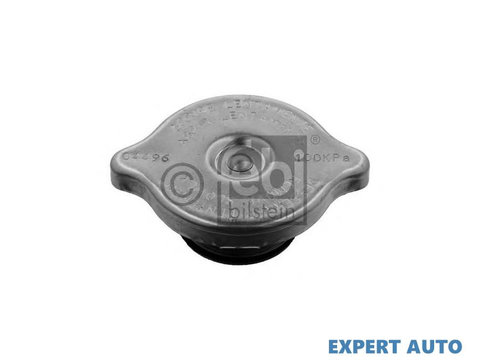 Capac vas expansiune Volkswagen VW LT28-50 caroserie (281-363) 1975-1996 #3 03901400A