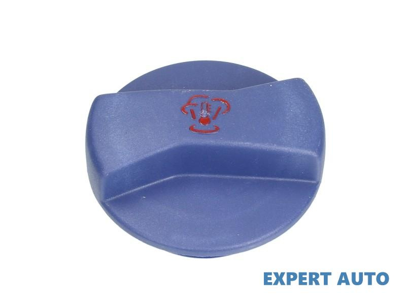 Capac vas expansiune Volkswagen VW NEW BEETLE (9C1, 1C1) 1998-2010 #3 00252